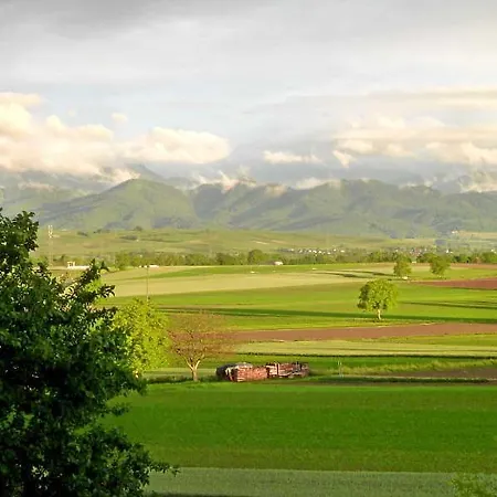 Daire Am Tuniberg Munzingen