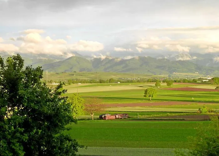 شقة Am Tuniberg Munzingen